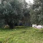 Suluca Homes