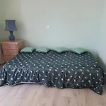 Alania Sea View Apartment