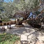 Olive Beach Villa