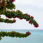 Sea View Apartment In Coral Bay