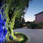 Olive Tree Apartments