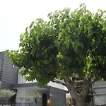 Agnanti Apartments