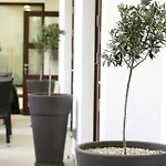 Royiatiko Hotel