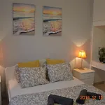 Luxury Apartment