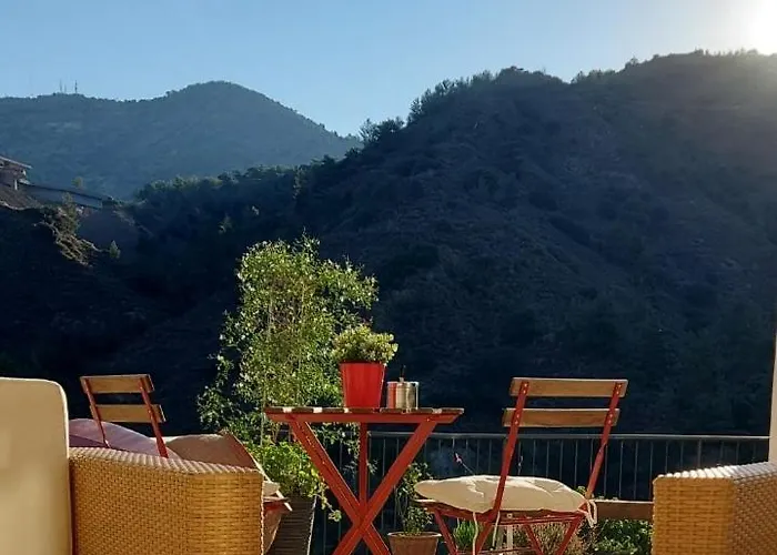 Belle Vue Mountain Home