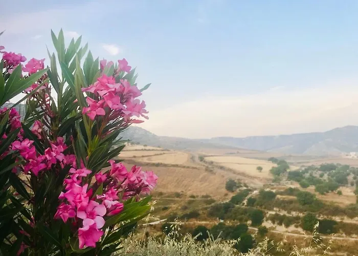 Panoramic Holidays - Premium 8