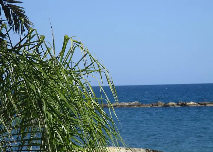 Galatex Beach Studio