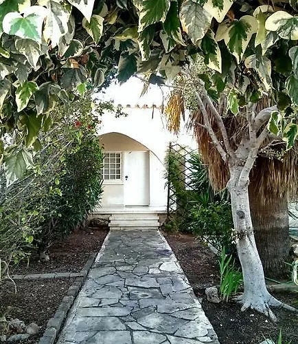 The Little House