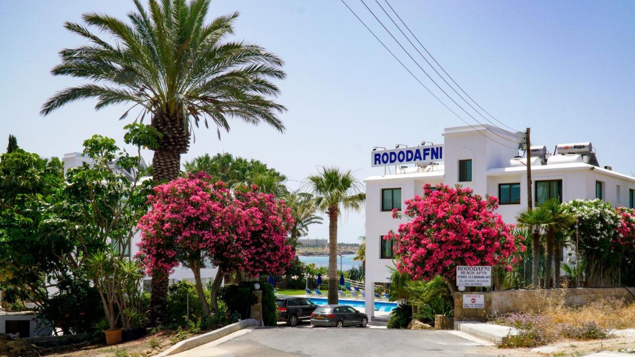 Rododafni