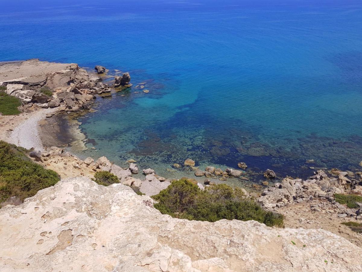 Ardic Agaci Holiday Village & Restaurant & Pool & Beach Hotel