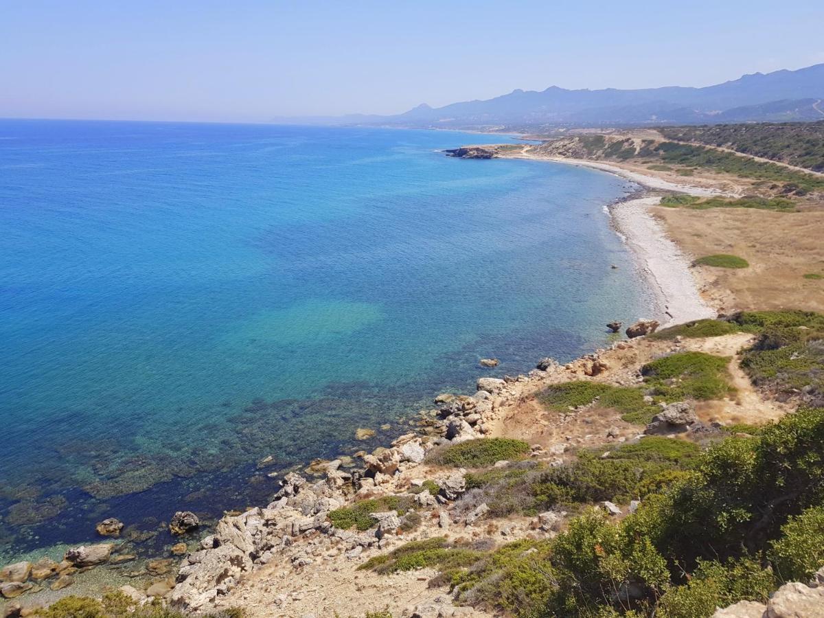 Hotel Ardic Agaci Holiday Village & Restaurant & Pool & Beach *