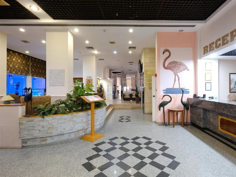 Flamingo Hotel