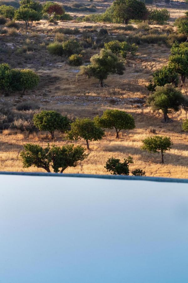 Amera Luxury * Pegeia