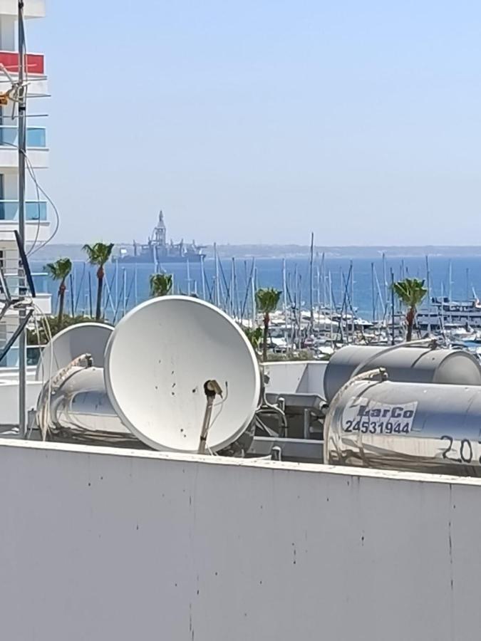 Camilla Larnaca