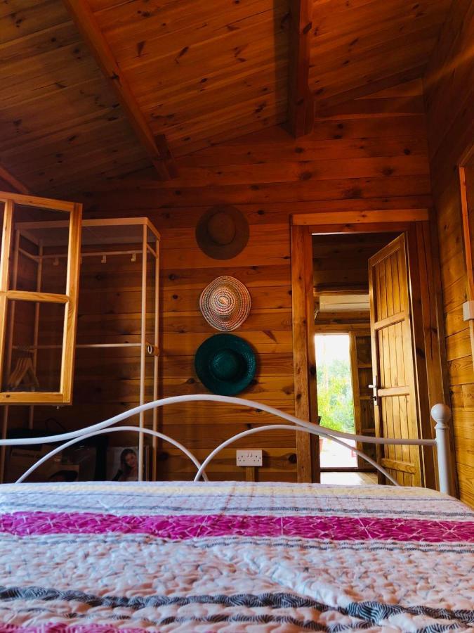 Happy Glamping Cy Agios Theodoros