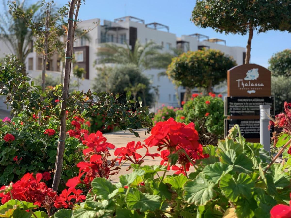 Apartment Peaceful Run-a-way By The Sea