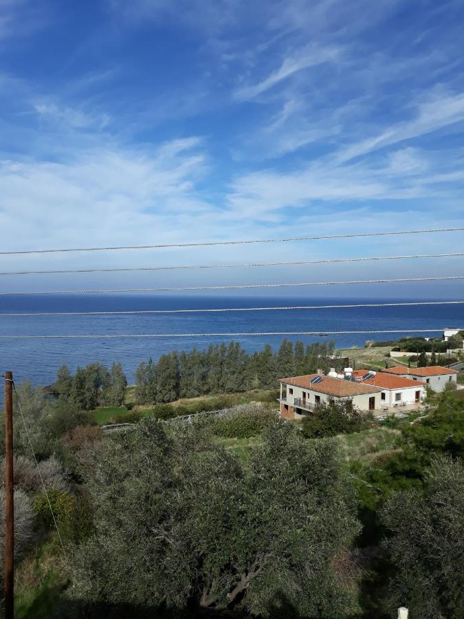 Paradise Blue