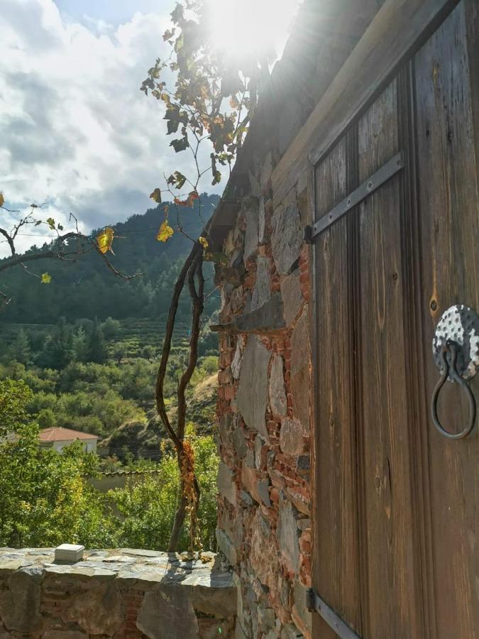 Madari Hills Health Retreat *