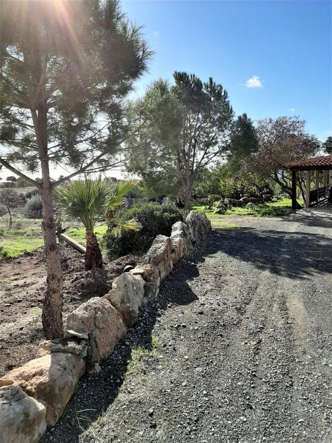 Villa Gavriel - With Breathtaking Sea View, With Private Pool, Secluded, Huge Outdoor Space, Mountain Views Peyia