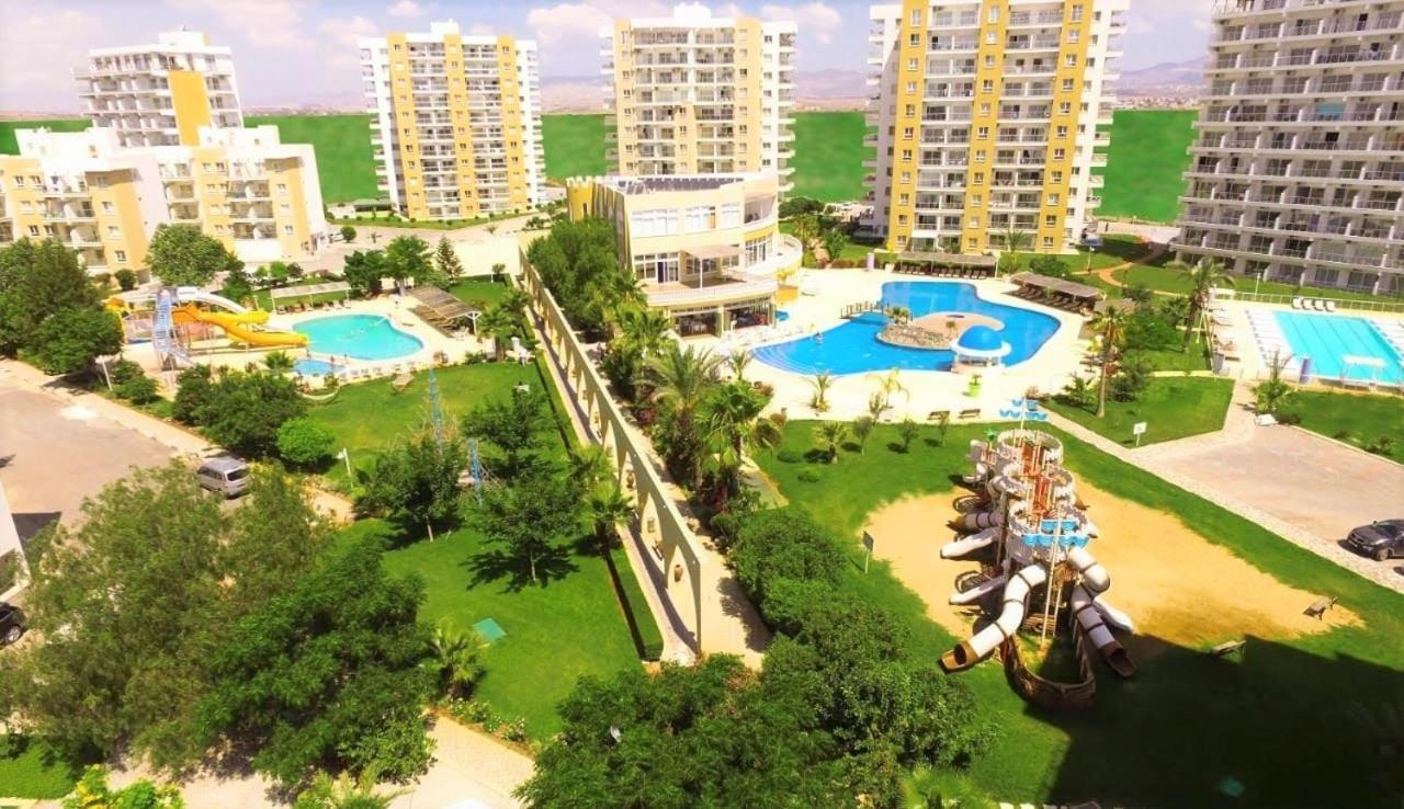 Ceasar Cyprus - Leona *
