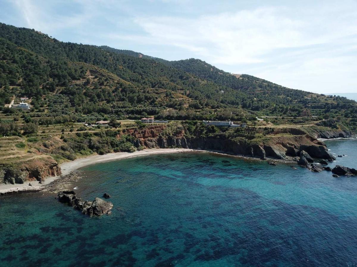 Paradise Blue * Pomos
