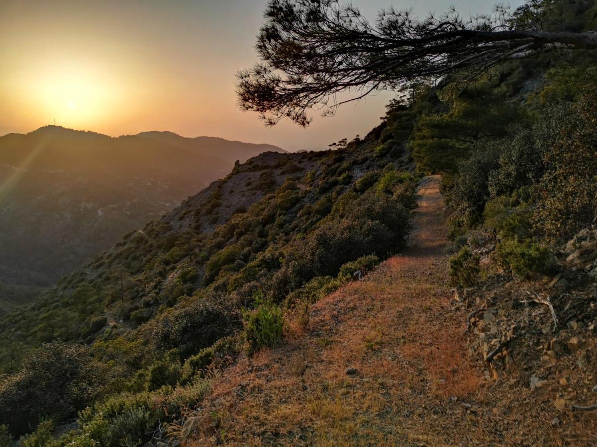 Madari Hills Health Retreat * Nicosia