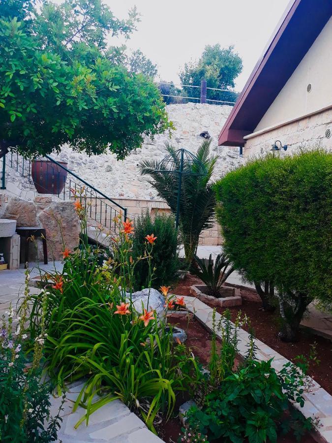 Traditional House