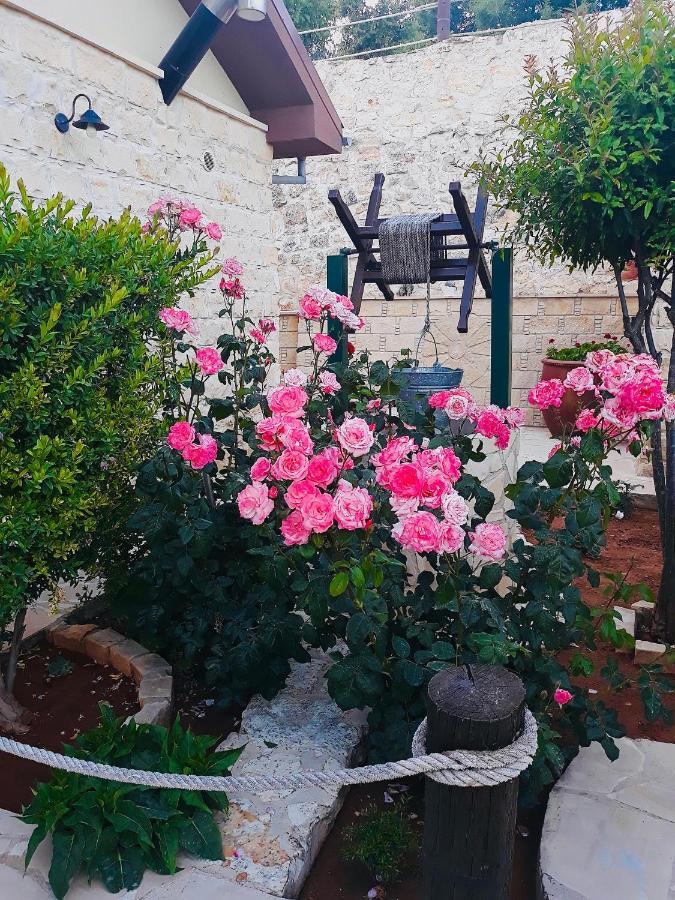 Traditional House * Lofou