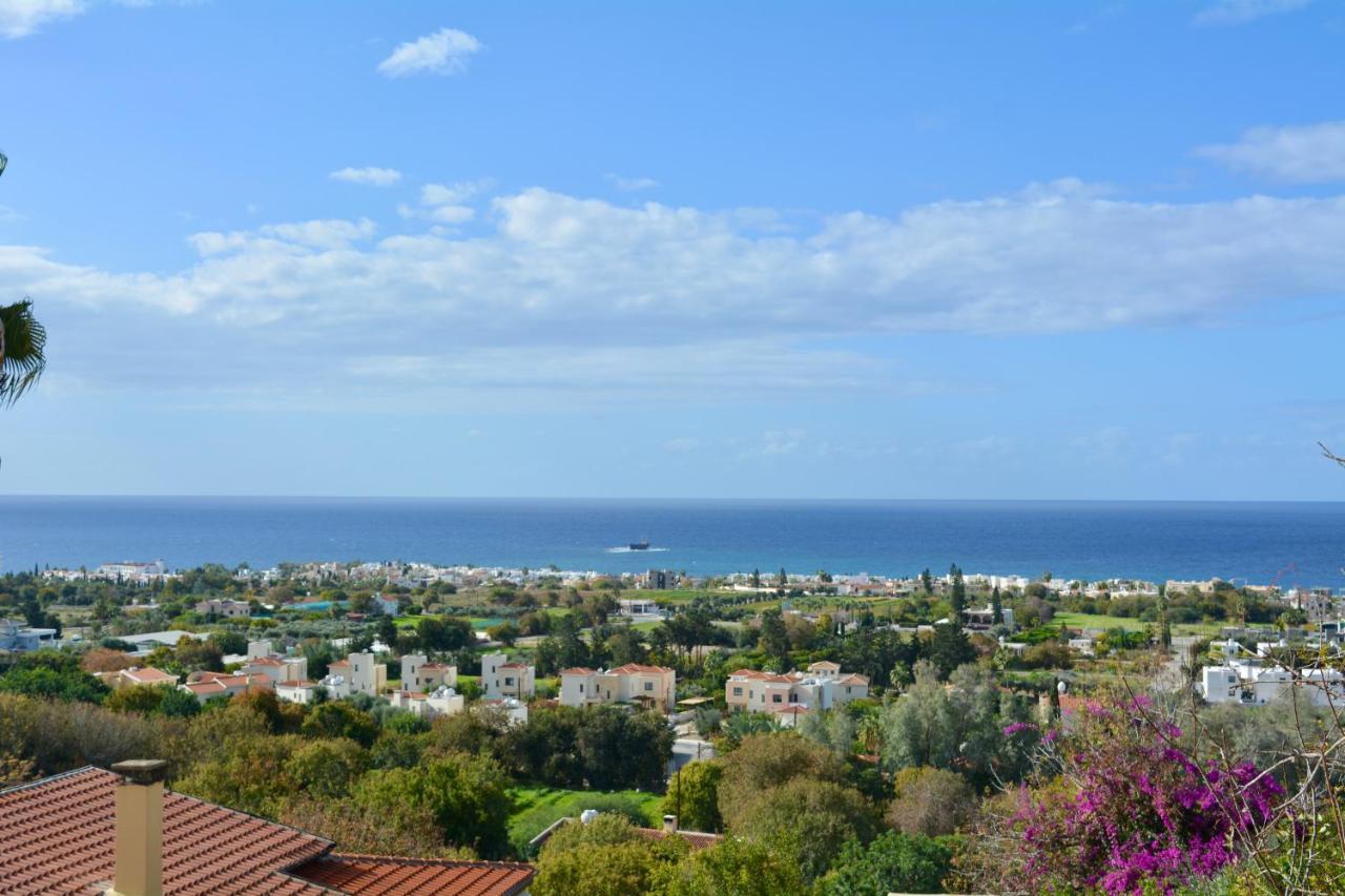 Panorama *