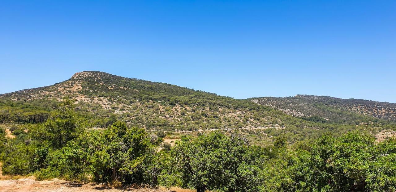 Yiangos House Villa Neo Chorio