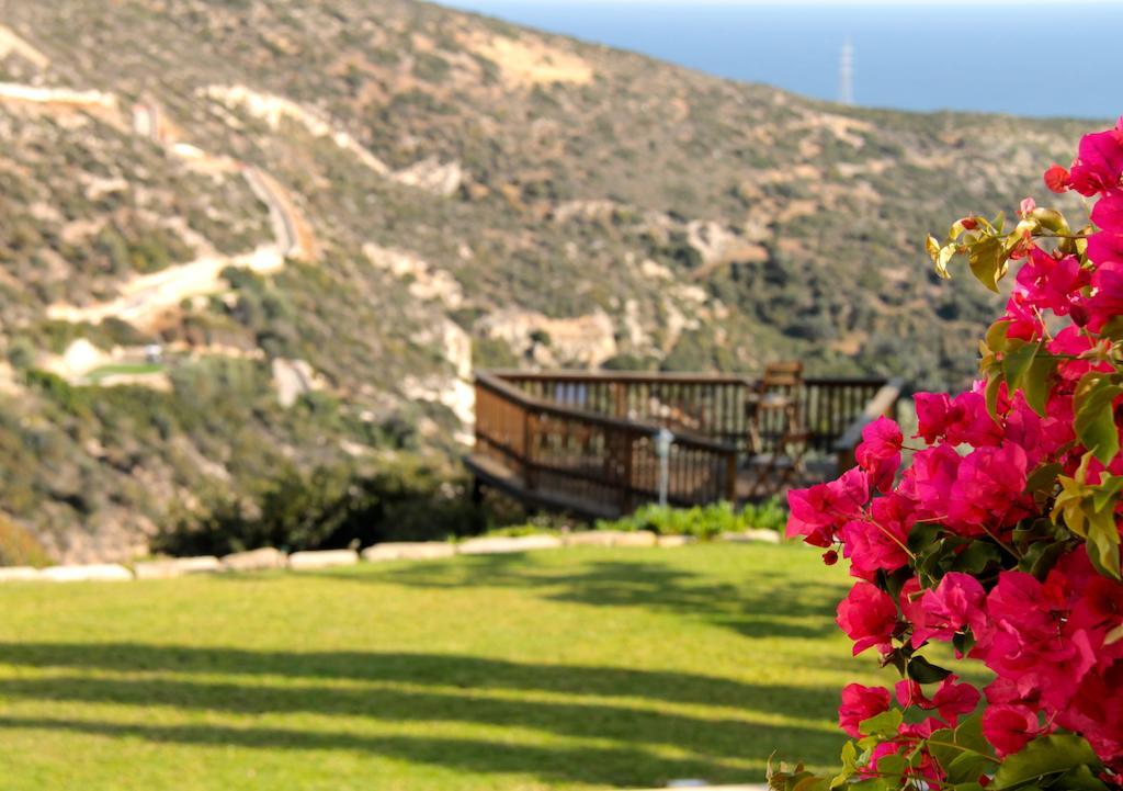 Aphrodite Hills Kouklia