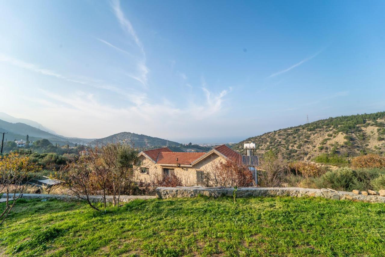 Chardonnay Guest With Great View For Nature Lovers Country house