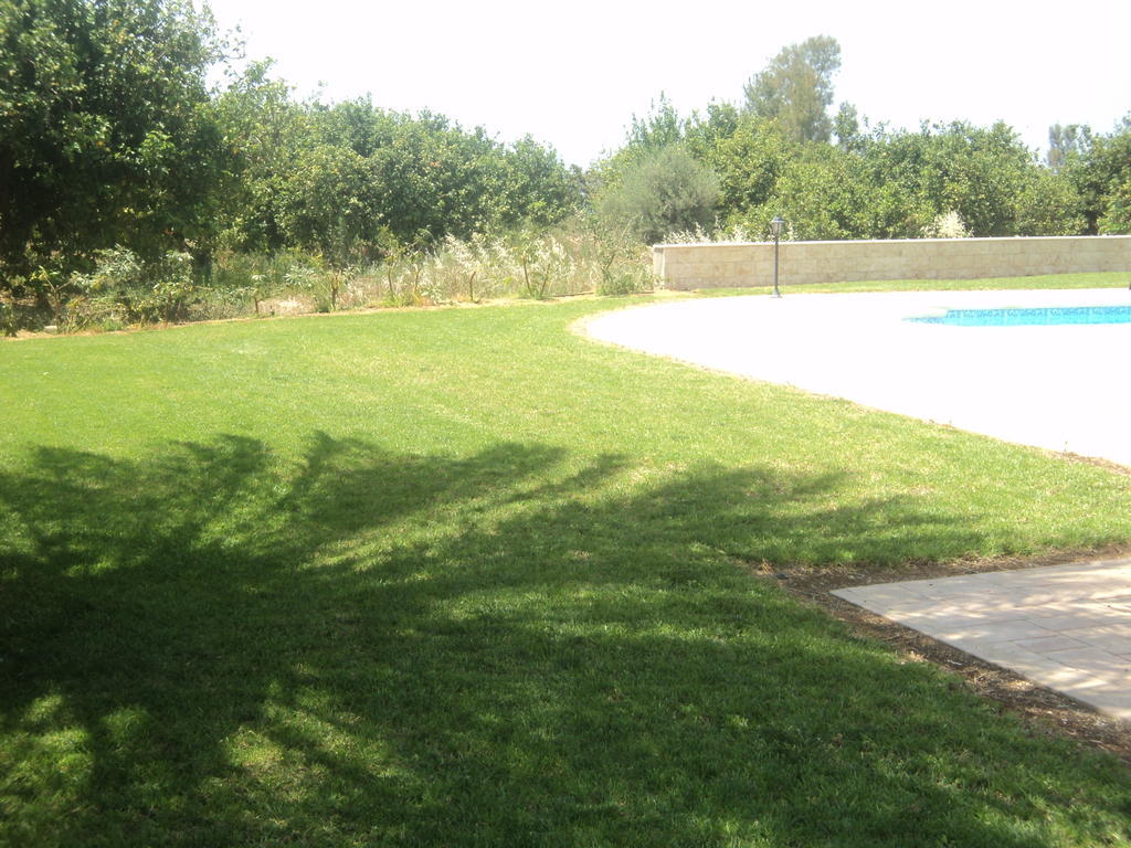 Citrus Grove Villa Argaka