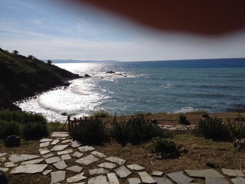 Beach Pantheon
