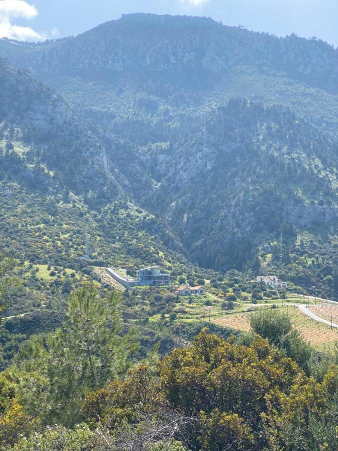 Chardonnay Guest With Great View For Nature Lovers