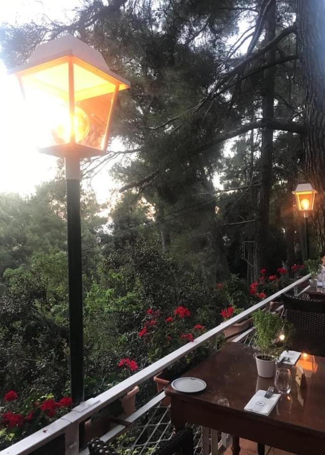 Hotel New Helvetia Platres