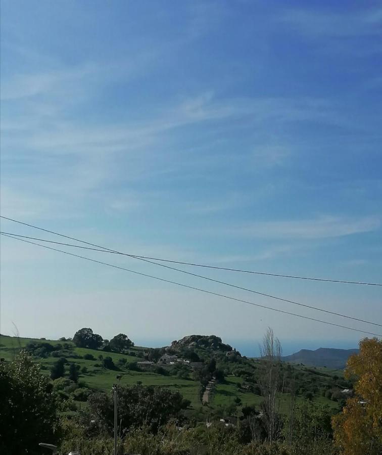 Villa Angela Dhrousha