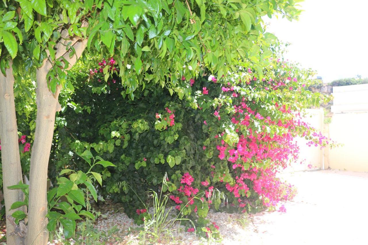 Rossa Pissouri