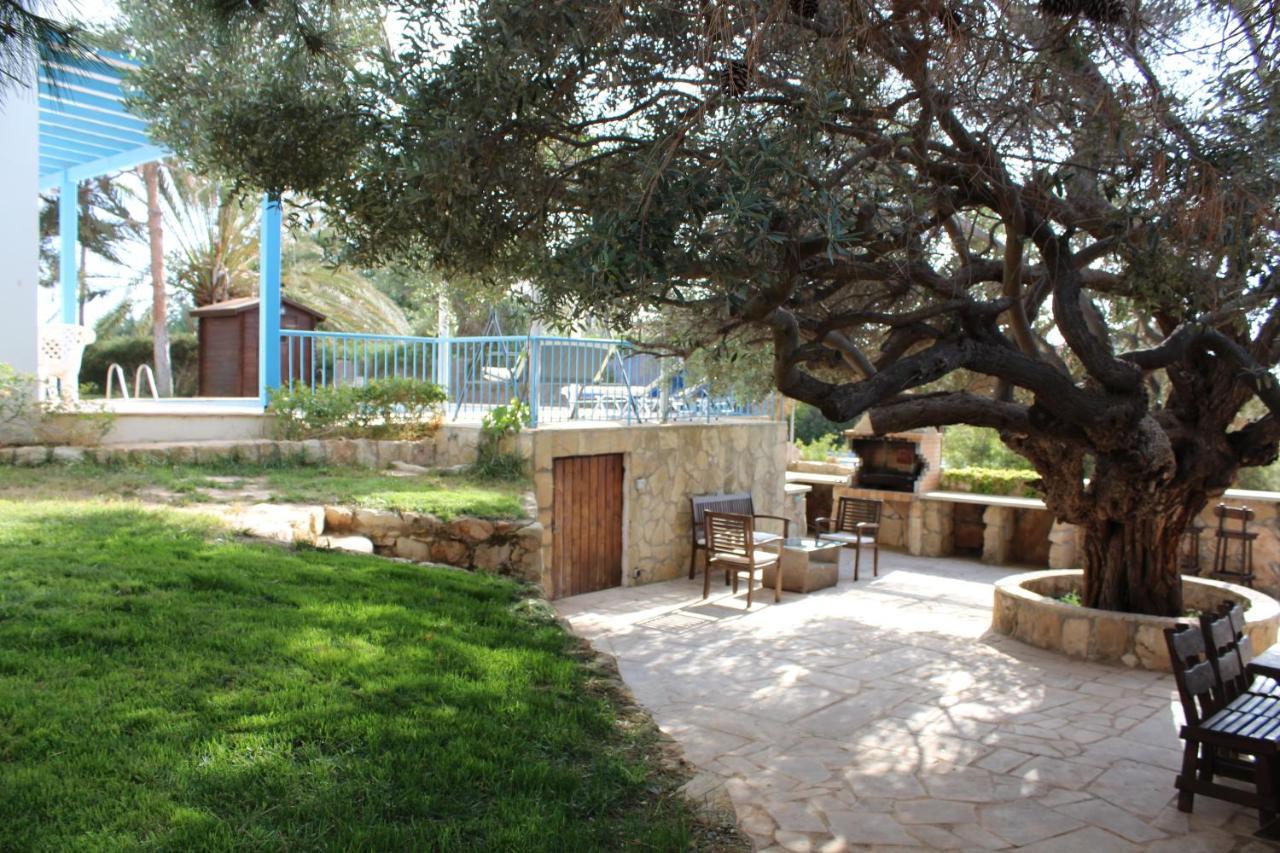Villa Olive *