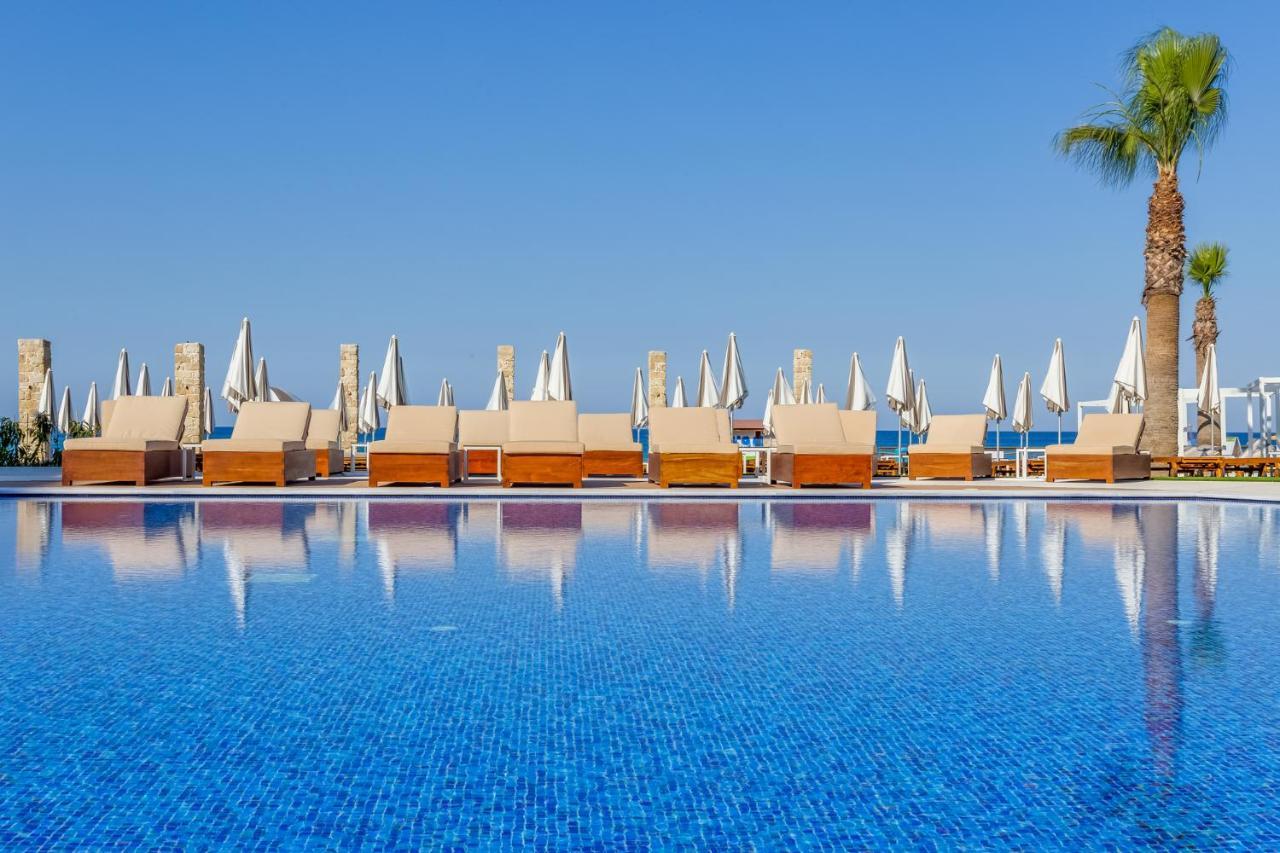 Flamingo Paradise - Adults Only