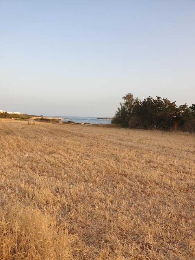 Apartamento Ikaria Village Maisonette 12