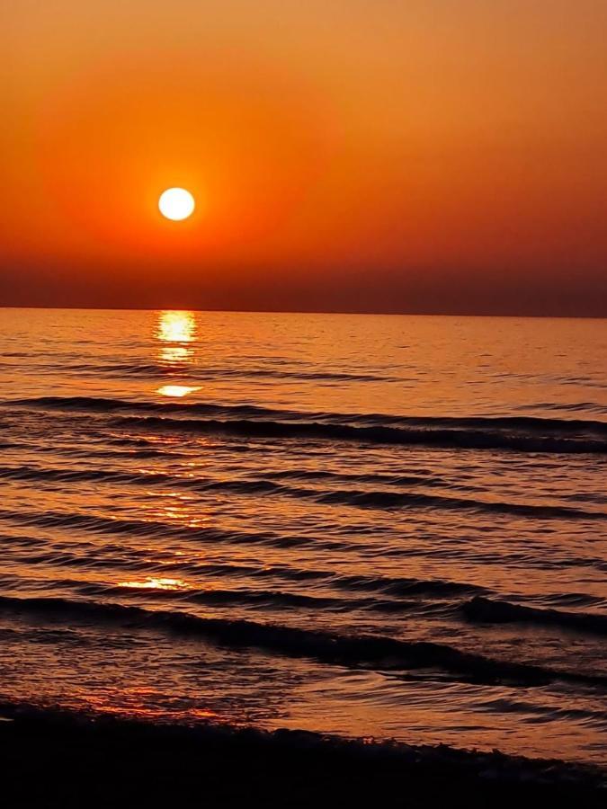 Alex 31 Larnaca