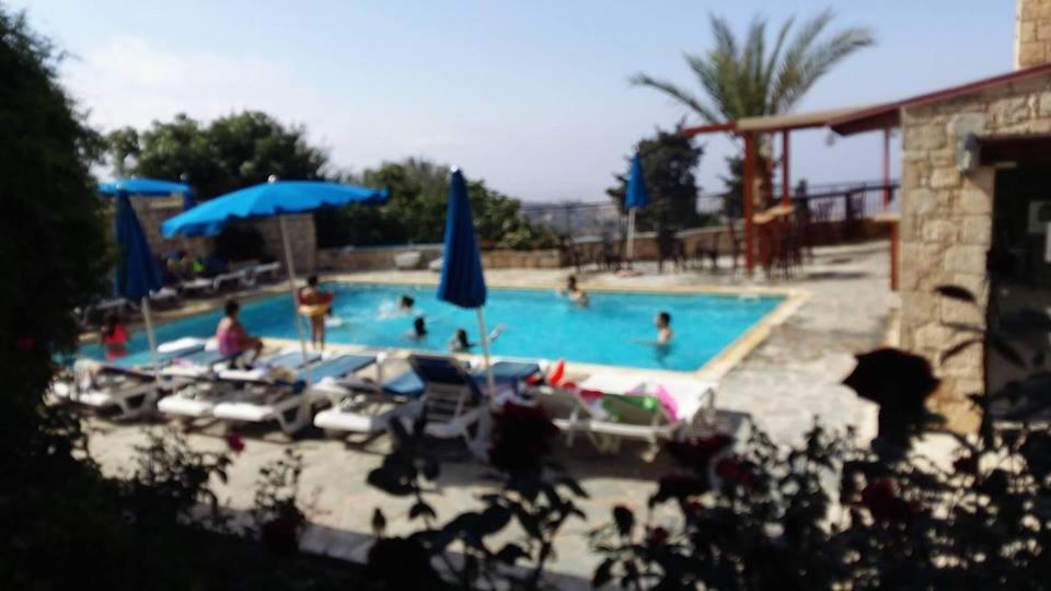 Palates Hotel 3*