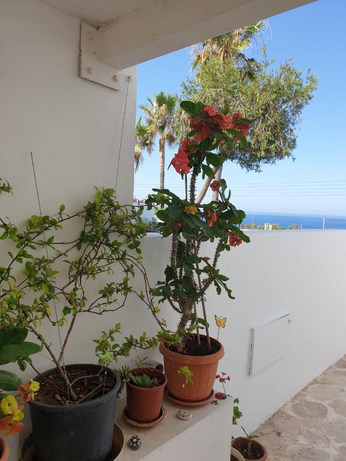 Ikaria Village-ground Floor No 4 Apartment