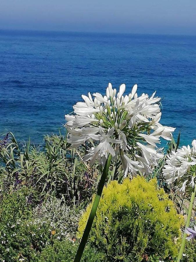 Ikaria Village-ground Floor No 4 * Klorakas