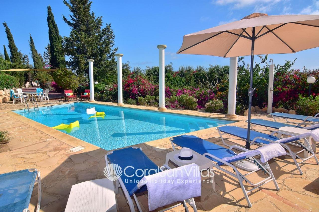 Wonderful Quiet Area,complete Privacy,large Pool, Colorful Garden, Jacuzzi/sauna * Peyia