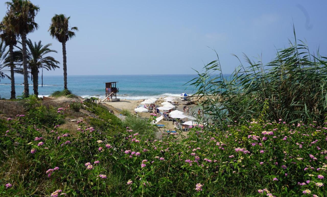 Apartment Limnaria Gardens Paphos, Near Paphos