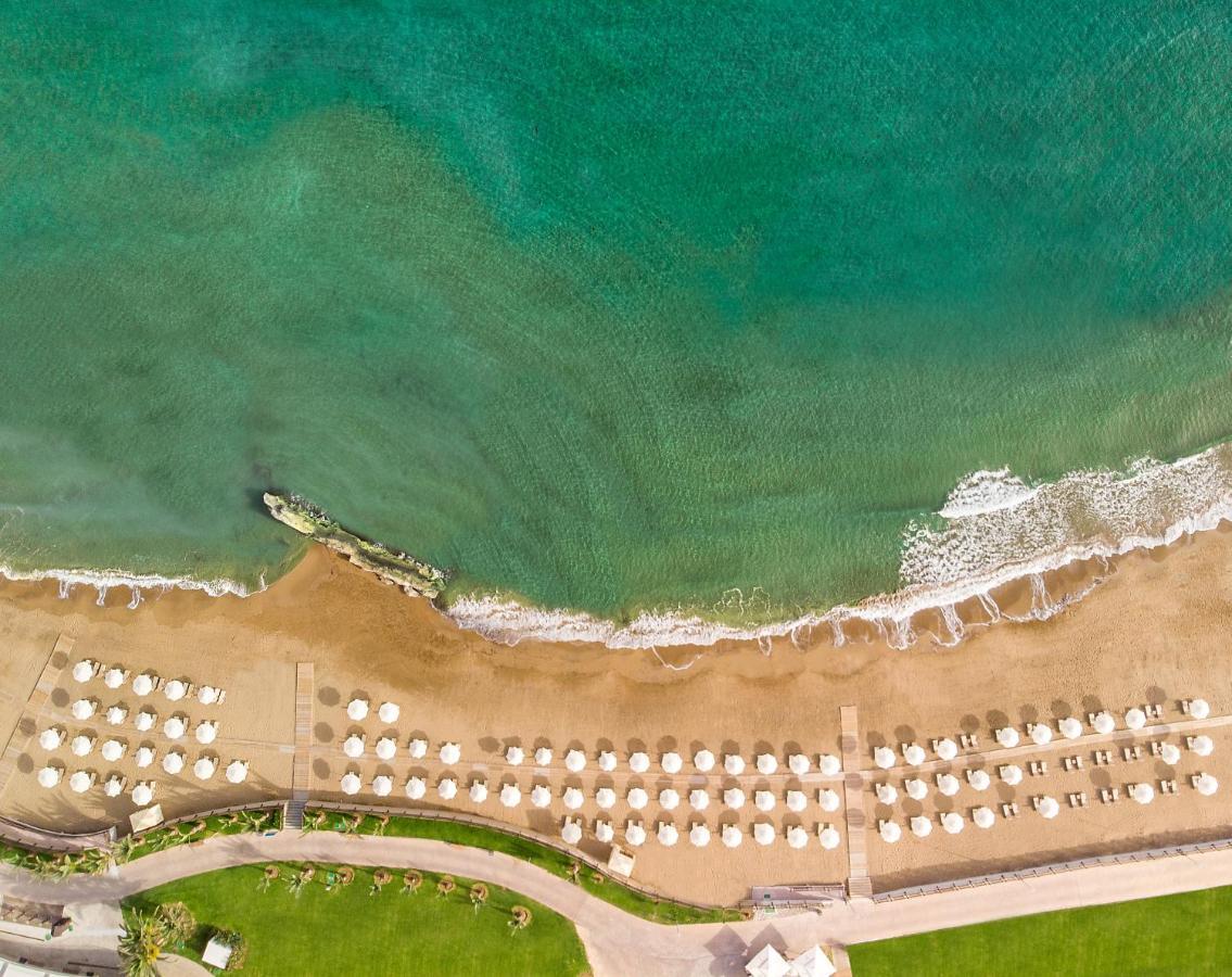 Elexus Hotel Resort & Spa & Casino Hotel 5*