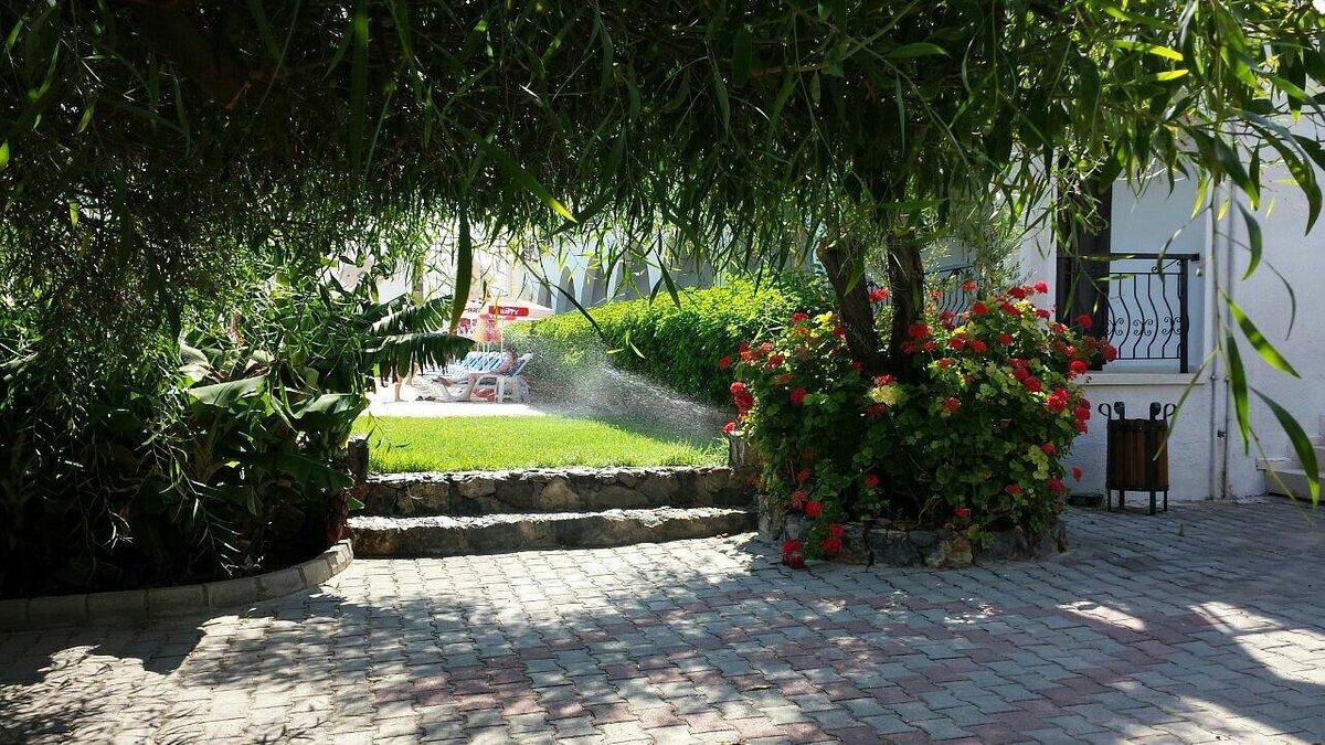 Bare Hill Village 2*