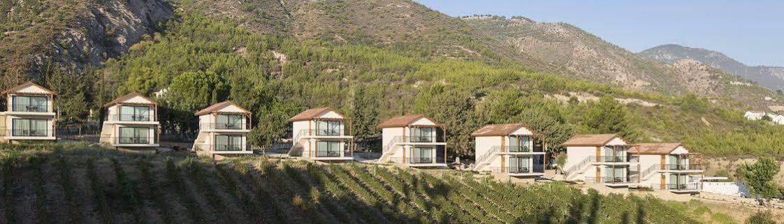 Gillham Vineyard Templos